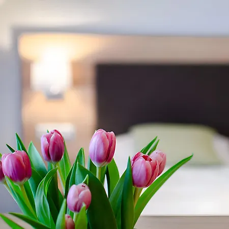 Πανσιόν 'in Vino Veritas'